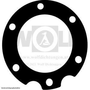 Zylinderkopfdichtung für BMW | R 51