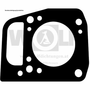 Zylinderkopfdichtung für Briggs & Stratton | Marathon