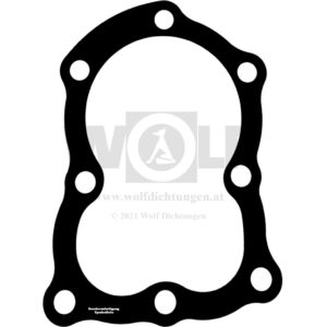 Zylinderkopfdichtung für Briggs & Stratton