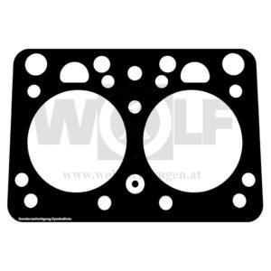 Zylinderkopfdichtung für Case | IH | D 301