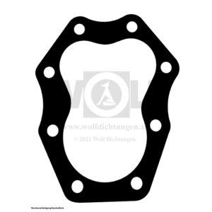 Zylinderkopfdichtung für Chang Jiang