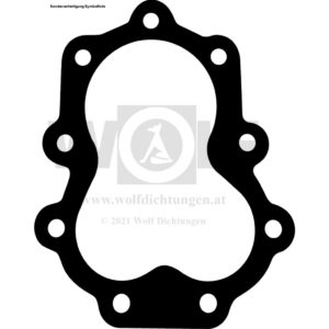 Zylinderkopfdichtung für Condor | 580