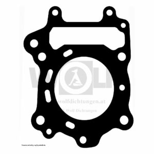 Zylinderkopfdichtung für Can-Am | Bombardier | Rally 200 | Rotax