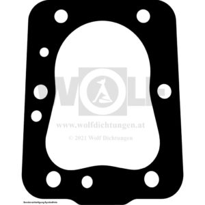 Zylinderkopfdichtung für Couach