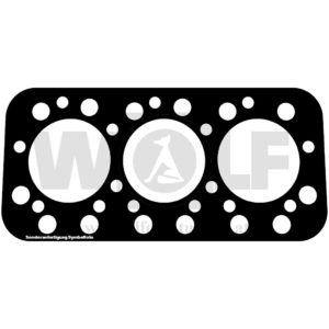 Zylinderkopfdichtung für Deutz | F 3 M 417