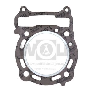 Zylinderkopfdichtung für Dinli | DL-802 Special | 300R Spezial