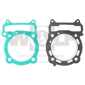 Teildichtsatz für Dinli | DL-802 Special | 300R Spezial