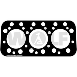 Zylinderkopfdichtung für Deutz | F 3 M 417