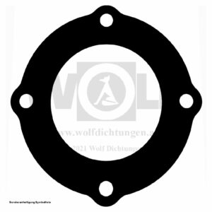 Zylinderkopfdichtung für Douglas | RA 500
