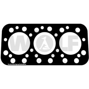 Zylinderkopfdichtung für Deutz | F 3 M 417