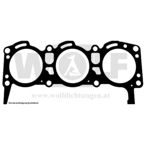 Zylinderkopfdichtung für Ford | Capri