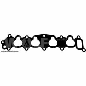 Ansaugdichtung für DFSK | EQ 474