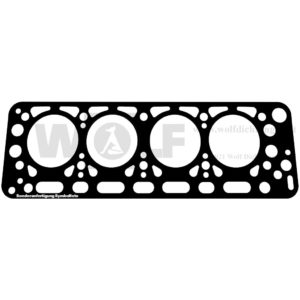 Zylinderkopfdichtung für Fiat | 604