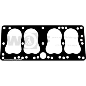 Zylinderkopfdichtung für Fiat | 514