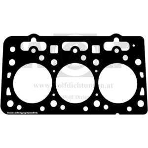 Zylinderkopfdichtung für Ford | 1710