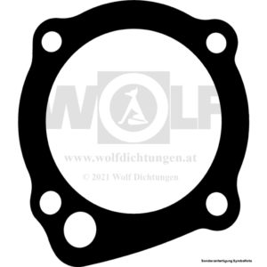 Wasserpumpendichtung für Ford | 1953