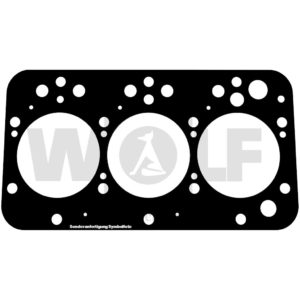 Zylinderkopfdichtung für Fiat | OM