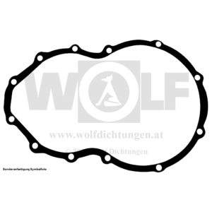 Ausgleichsgetriebedeckeldichtung für Fiat | Abarth
