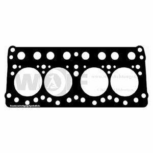 Zylinderkopfdichtung für Fiat | 615