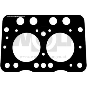 Zylinderkopfdichtung für Fiat | 215 N
