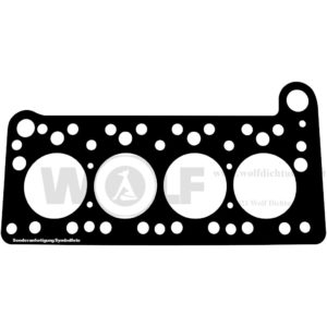 Zylinderkopfdichtung für Fiat | Topolino