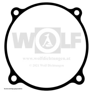 Reglerdichtung vorne für Fichtel & Sachs | D 400 L
