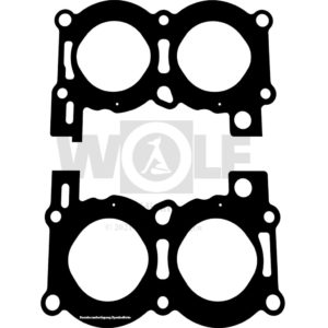 Zylinderkopfdichtungen für Ford | V 4