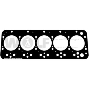 Zylinderkopfdichtung für Fiat | AIFO | OM | 8051-1