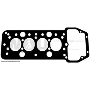 Zylinderkopfdichtung für Fiat | 509
