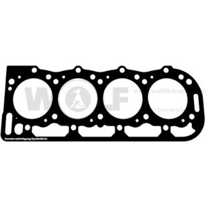 Zylinderkopfdichtung für Ford | New Holland | TS | 100