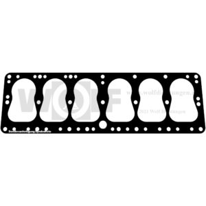 Zylinderkopfdichtung für Fiat | 525 S