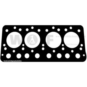 Zylinderkopfdichtung für Fiat | OM