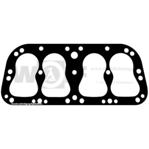 Zylinderkopfdichtung für Fiat | 501