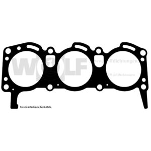 Zylinderkopfdichtung für Ford | Essex | V 3,0