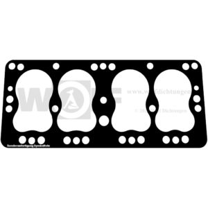 Zylinderkopfdichtung für Fiat | 508