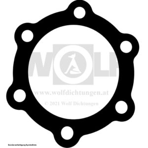 Zylinderkopfdichtung für Gnome et Rhône | D 5
