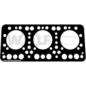 Zylinderkopfdichtung für Gräf & Stift | 124 | 127