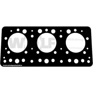 Zylinderkopfdichtung für Gräf & Stift | 1200