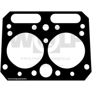 Zylinderkopfdichtung für Henschel | 516