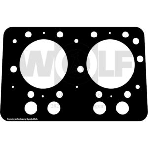 Zylinderkopfdichtung für Holder | AG 30