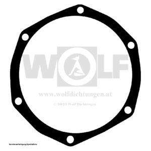 Getriebedichtung für Holder | A 45