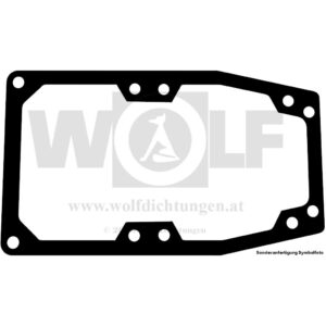 Getriebedichtung für Holder | A 45