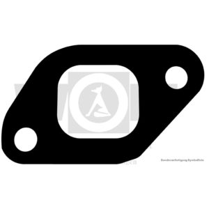 Auspuffdichtung für HIN | 2 R