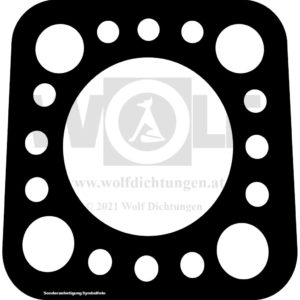 Zylinderkopfdichtung für Holder | B 10