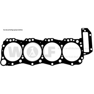 Zylinderkopfdichtung für Hino | JO5E