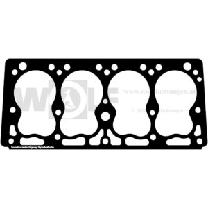 Zylinderkopfdichtung für Holster