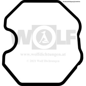 Vergaserdichtung für Hyosong | RX 125