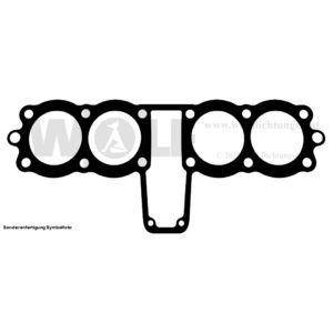 Zylinderkopfdichtung für Honda | 900