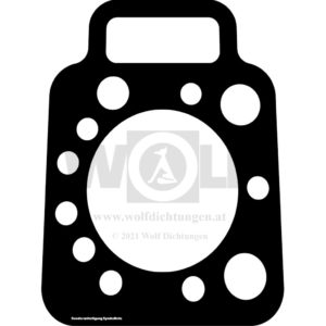 Zylinderkopfdichtung für Holder | A 15