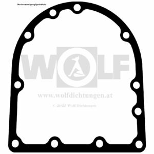 Schwungscheibendichtung für IHC | 179